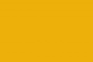 衡水中学张锡锋演讲片段