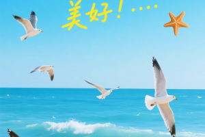 致准初三学生的一封信